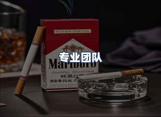 专业团队